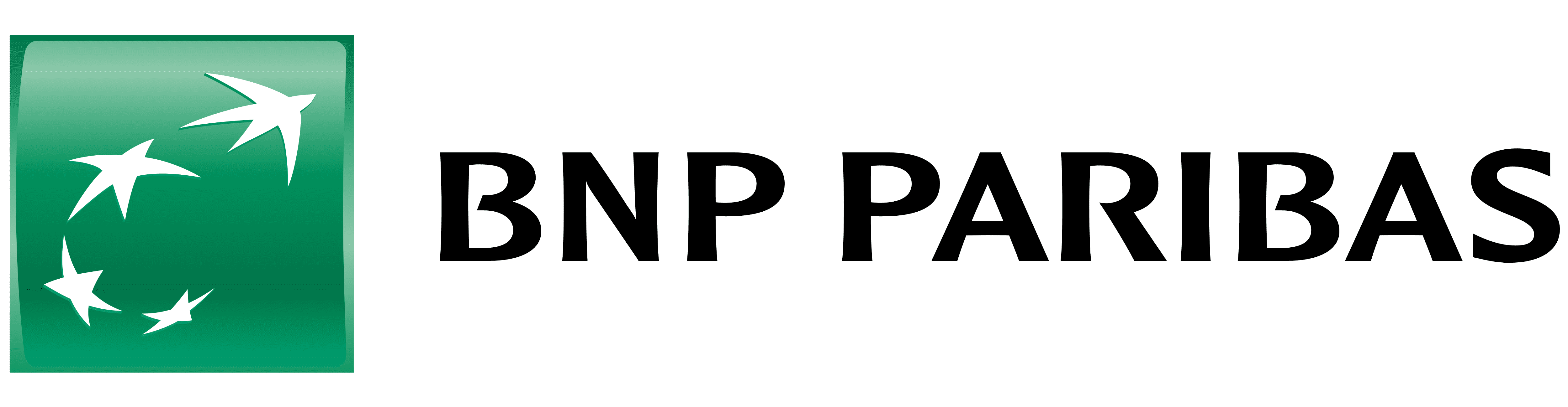 logo bnp